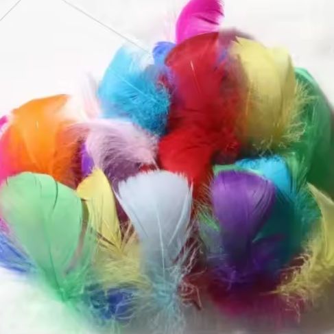 Dyed Feathers