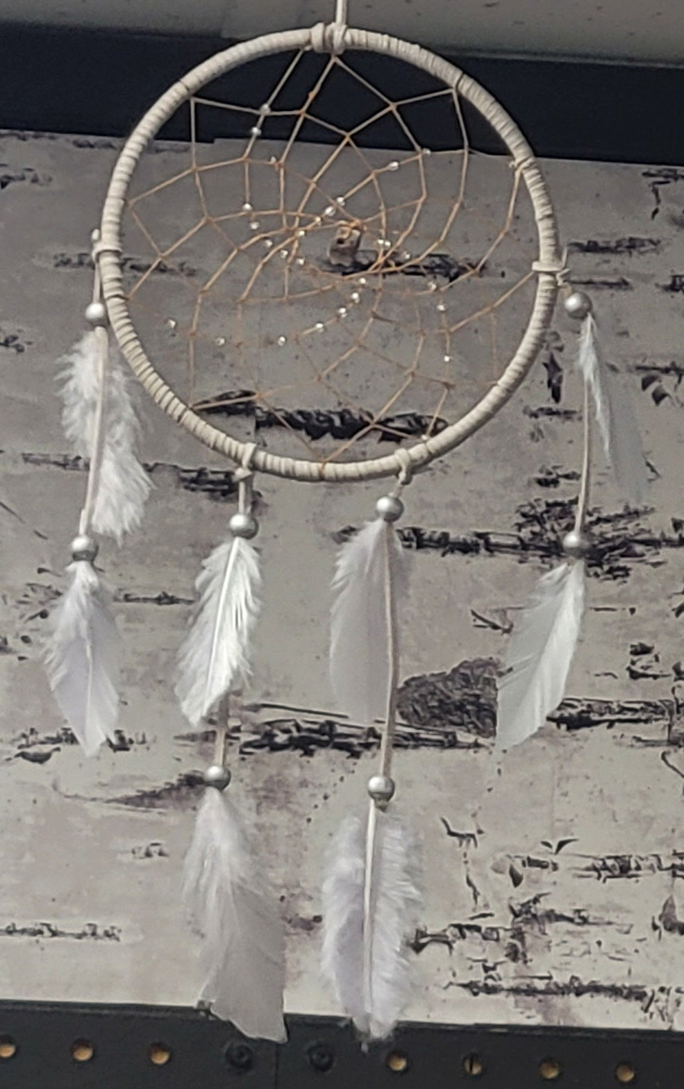 Dream Catcher (Silver/Grey)