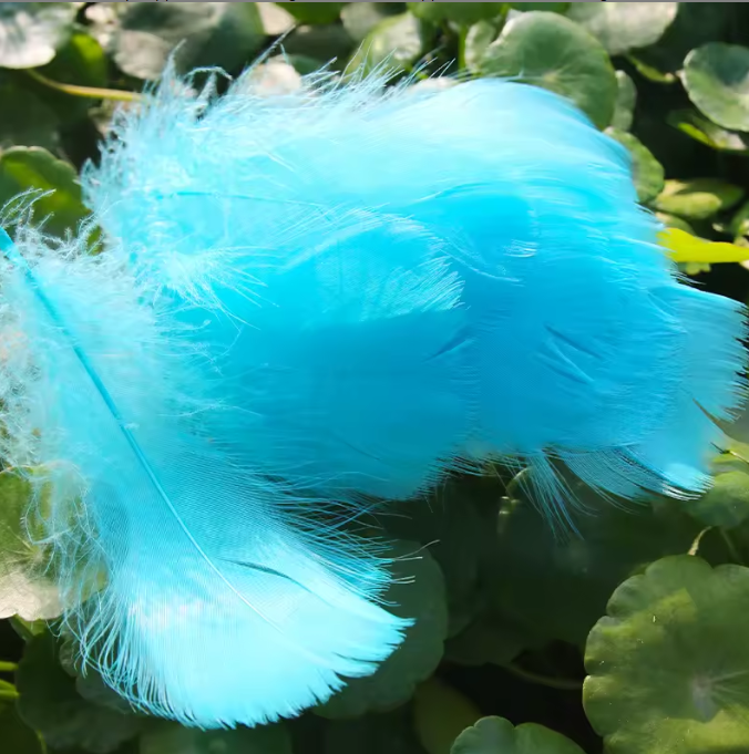 Dyed Feathers