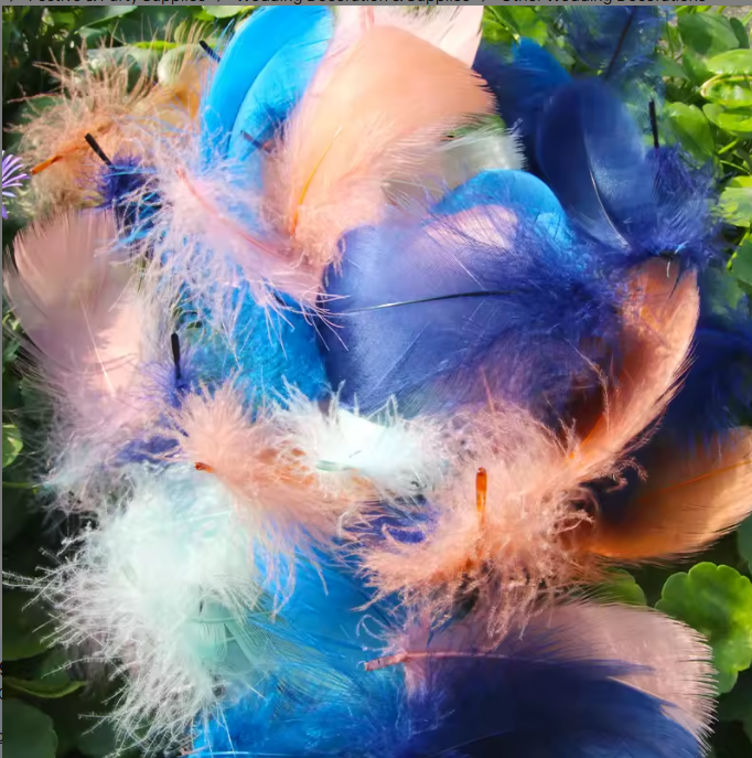 Dyed Feathers
