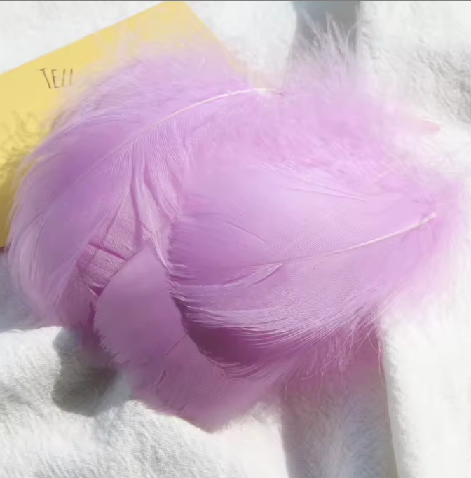 Dyed Feathers